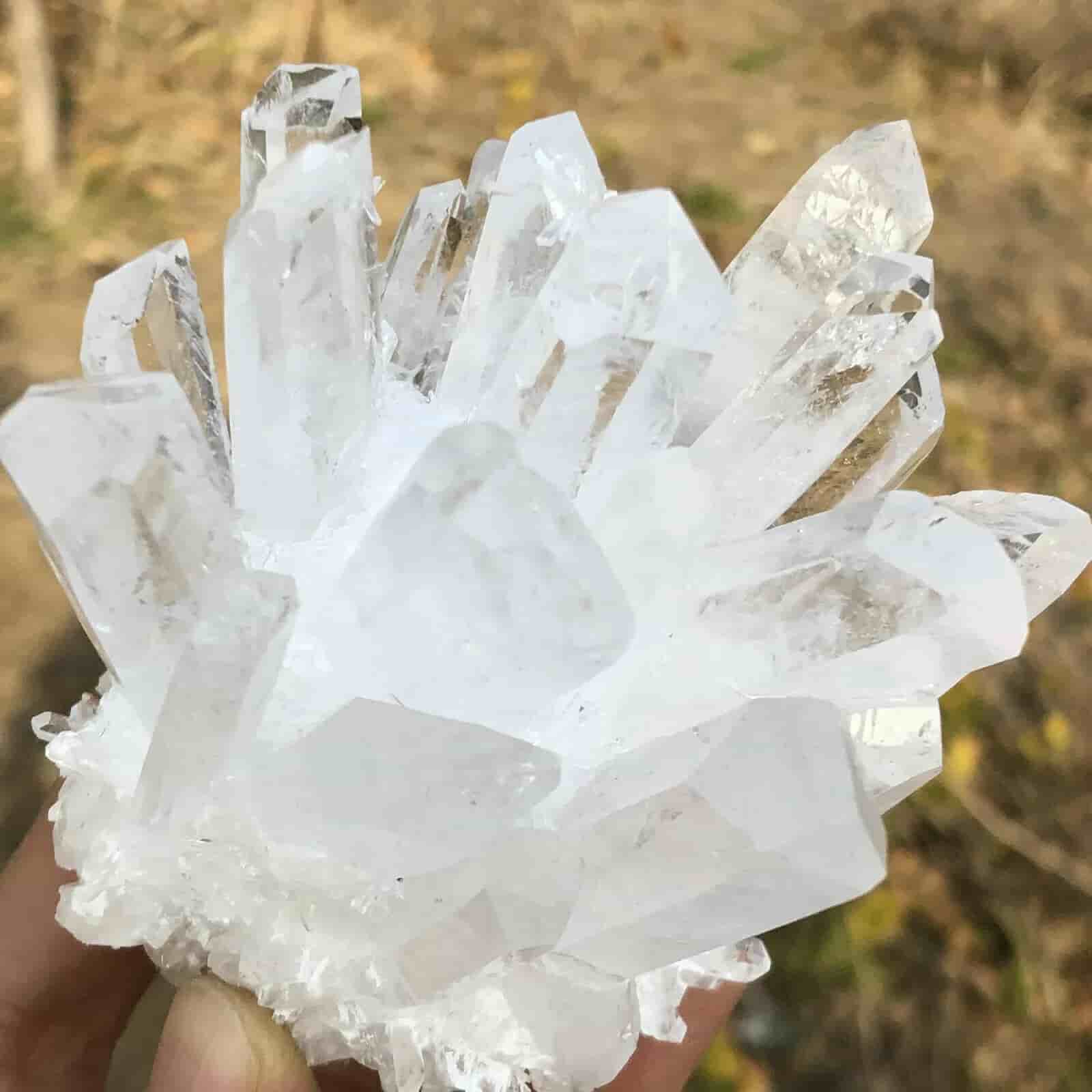 خرید نمک خوراکی